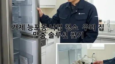 거제 능포동 낙엽 청소 🍂 우리 집 맞춤 솔루션 찾기!