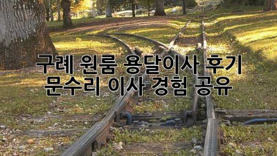 구례 원룸 용달이사 후기: 문수리 이사 경험 공유!