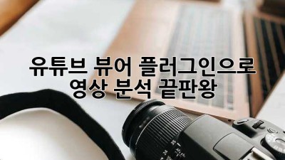 유튜브 뷰어 플러그인으로 영상 분석 끝판왕! 🚀